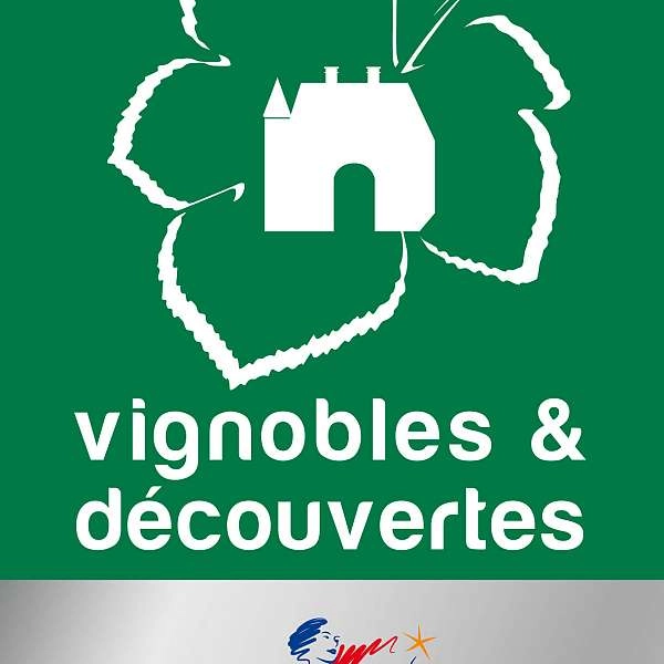 Destination Vignoble - DE